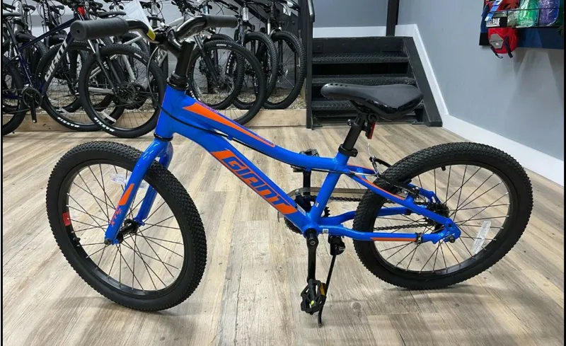 XTC Jr 20 inch Coaster Brake Bike Metallic Blue-3